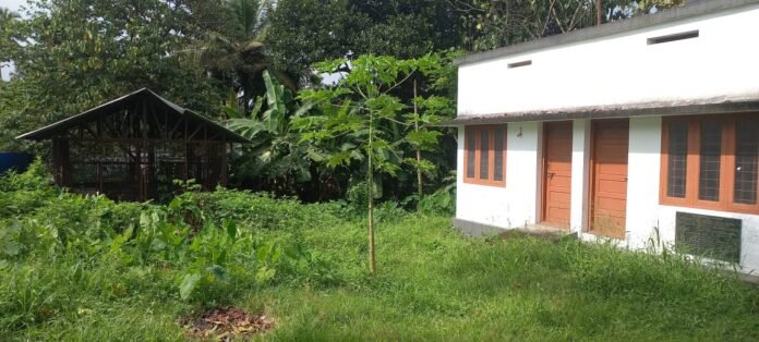 2. PERUMBAVOOR ANIMAL HOSPITAL BUILDING