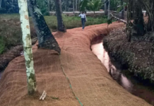 പാറപ്പുറത്ത് താഴം തോട് ബണ്ടിന് കയർ ഭൂവസ്ത്രം