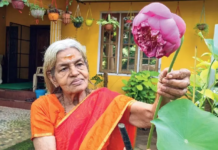 കാഴ്ചവിരുന്നായി
സഹസ്രദളപത്മം