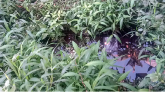 0kana-1760300516956-d83aaba9-677d-4863-84e3-0aba7d8c4770-900x506