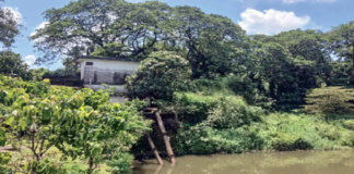 เดตเดพเดดเดเตเดเตเดณเดคเตเดคเต เด
เดเตเดเดฟเดฎเดฑเดฟเดเตเดเดชเตเดชเตเดเตเดจเตเดจโจเดตเดฟเดเดธเดจเด