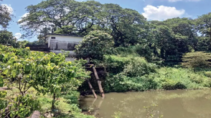 0vazhakkulam-1760990639091-a9493806-6b0a-44c7-900c-221b9fcb18b2-900x506