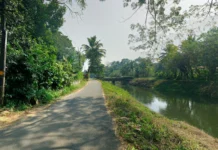 เดตเดฟเดฆเตเดฏเดพเดญเตเดฏเดพเดธ, เดเดพเตผเดทเดฟเด, เดเดฐเตเดเตเดฏ เดฐเดเดเดเตเดเดณเดฟเตฝ เดฎเดฟเดเดเตเด เดชเตเดฐเดตเตผเดคเตเดคเดจเด; เด
เดถเดฎเดจเตเดจเตเตผ เด
เดเดฟเดชเตเดณเดฟเดฏเดพเดเตเดเดฟ เดญเดฐเดฃเดชเดเตเดทเด