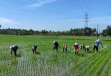 เดเดพเตผเดทเดฟเด เดตเดฟเดเดธเดจเดคเตเดคเดฟเดจเต 2 เดเตเดเดฟ, เดธเดฎเตเดฆเตเดงเดฟเดฏเตเดเต เด
เดเตเดเต เดตเตผเดทเดเตเดเดณเตเดเตเดเตเดฑเดฟเดเตเดเต เดญเดฐเดฃเดชเดเตเดทเด