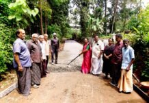 เดเตเดฐเดฎเตเดเดฟ- เดเดฒเดพเดเตเดเตเดเดฟเดฑ เดฑเตเดกเต เดชเตเดจเดฐเตโ เดจเดฟเดฐเตโเดฎเตเดฎเดฟเดเตเดเต