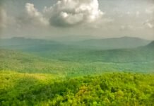 เด
เดดเดฟเดฎเดคเดฟเดฏเต เดเดฐเตเดชเดฃเดเตเดเดณเต เดเดฒเตเดฒเดพเดคเตเดค เดตเตเดเตเดเตเดฒเดฏเตเดเต เดธเตเดตเตผเดฃเตเดฃ เดเดพเดฒเดเดเตเดเด