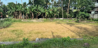 เดคเตเดฐเดฟเดตเตเดฃเดฟ เดเดตเตเดฐเดฟ เดเดฟเดฑ เดเดพเดเตเดชเดฟเดเดฟเดเตเดเต เดจเดถเดฟเดเตเดเตเดจเตเดจเตโ