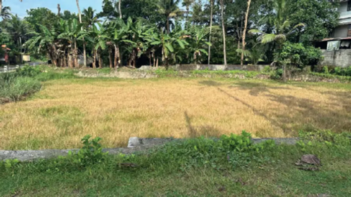 NJAVURICHIRA-1762291528447-0e432190-0712-42a7-a2f5-e8826db52704-900x506