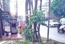 പെരുമ്പാവൂരിൽ കുടിവെള്ളത്തിന് ദുർഗന്ധം,