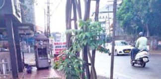 เดชเตเดฐเตเดฎเตเดชเดพเดตเตเดฐเดฟเตฝ เดเตเดเดฟเดตเตเดณเตเดณเดคเตเดคเดฟเดจเต เดฆเตเตผเดเดจเตเดงเด,