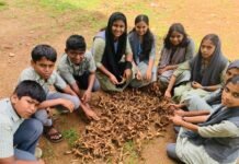 തണ്ടേക്കാട് ജമാഅത്ത് എച്ച്. എസ്. എസിൽ മല ഇഞ്ചി വിളവെടുപ്പ് നടത്തി