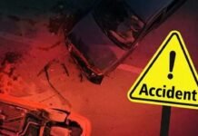 เดเดพเดฒเดเดฟเดชเตเดชเดพเดฒเด เดฎเตเดคเตฝ เดฎเตเดตเดพเดฑเตเดฑเตเดชเตเดด เดตเดฐเต เดเดเดธเดฟ เดฑเตเดกเดฟเตฝ 5 เดตเตผเดทเดคเตเดคเดฟเดจเดฟเดเดฏเดฟเตฝ 1502 เดตเดพเดนเดจเดพเดชเดเดเดเตเดเตพ ; เดฎเดฐเดฃเดชเตเดชเตเดเตเดเดตเตผ 178