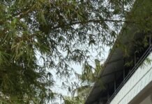 അൽ ഫുർഖാൻ അക്കാദമിയിൽ മാനവസൗഹൃദ ഇഫ്താർ സംഗമം