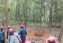 കൂവപ്പടി ബ്ലോക്കിൽ 37.13 കോടിയുടെ തൊഴിലുറപ്പ് പദ്ധതികൾ