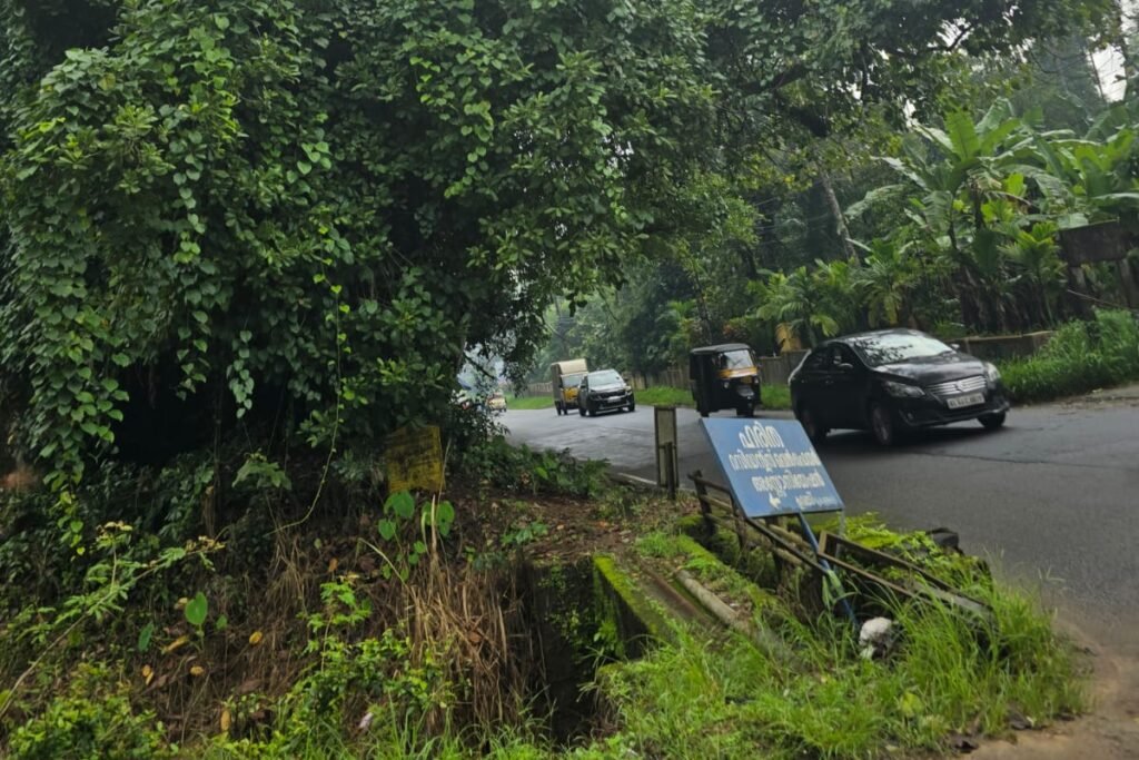 വല്ലം – പാണംകുഴി റോഡിൽ അപകടഭീഷണിയായി മരങ്ങൾ; നടപടി വൈകുന്നു